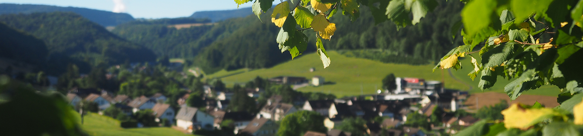 Gemeinde Tecknau