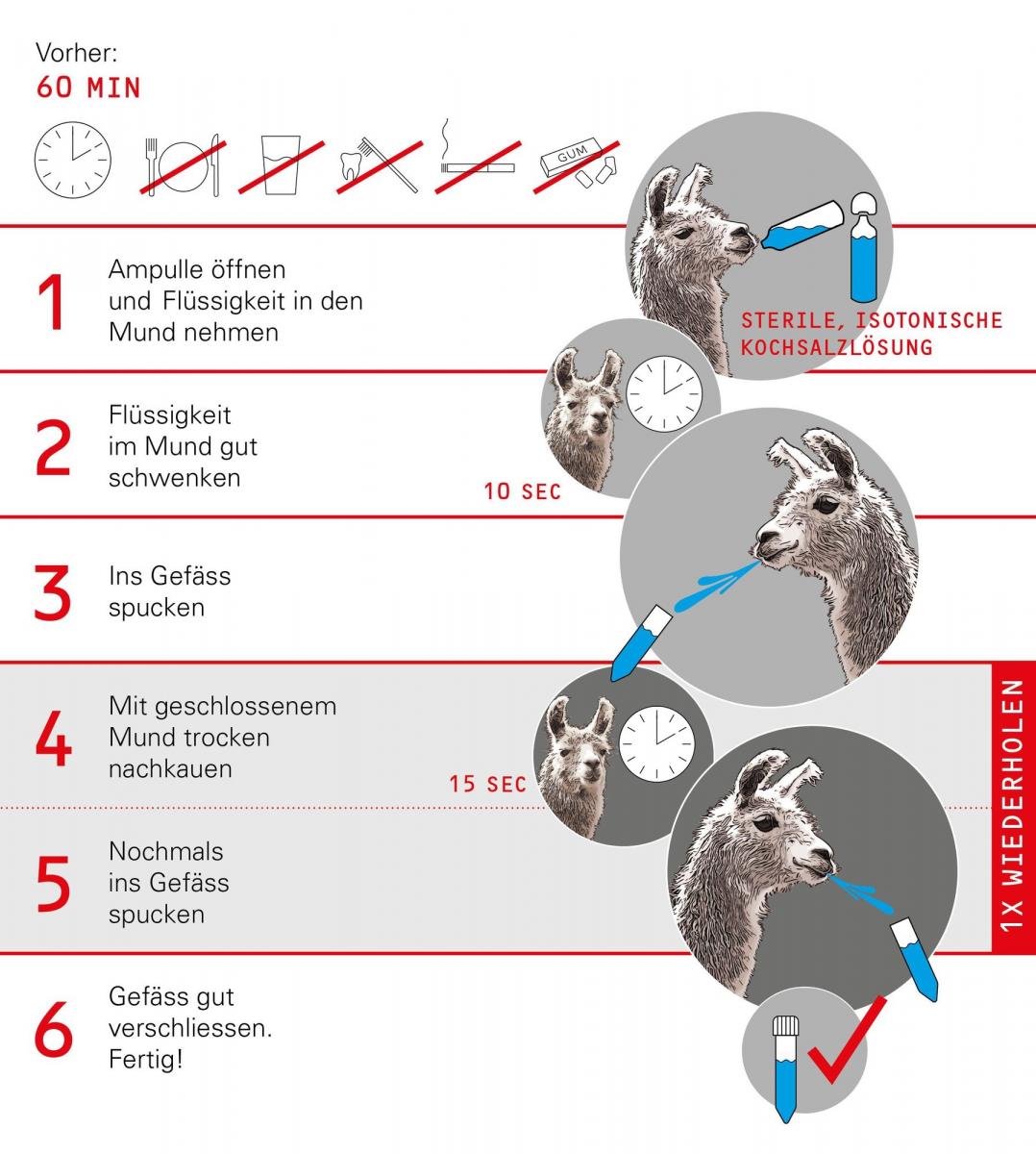 Anleitung Speichelprobe