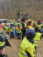 Müll sammeln im Wald 3