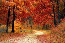 Herbstferien